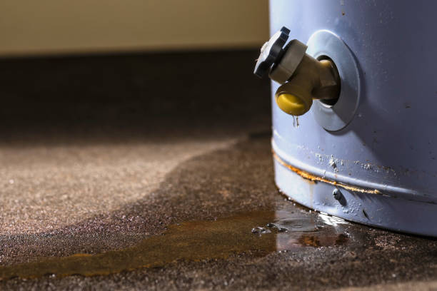 Best Flood damage cleanup  in Ashland, AL