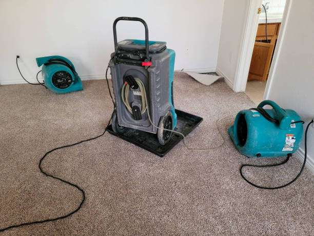 Best Water damage cleanup near me  in Ashland, AL