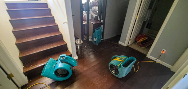 Best Water damage restoration experts  in Ashland, AL