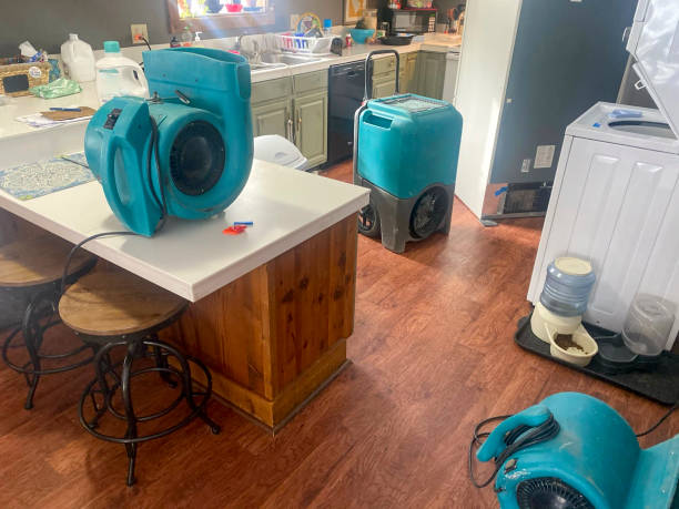 Water damage restoration experts in AL