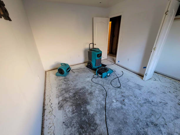 Water damage restoration insurance claims in AL
