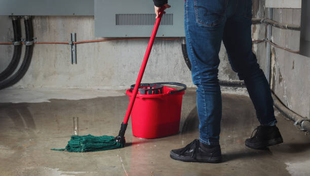Best Professional water damage repair  in Ashland, AL