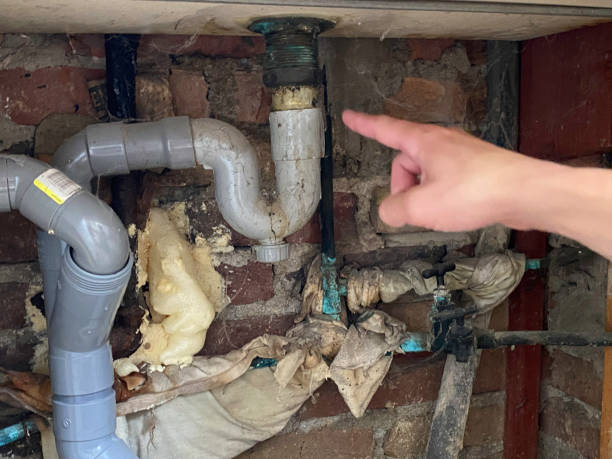 Best Water damage restoration near me  in Ashland, AL
