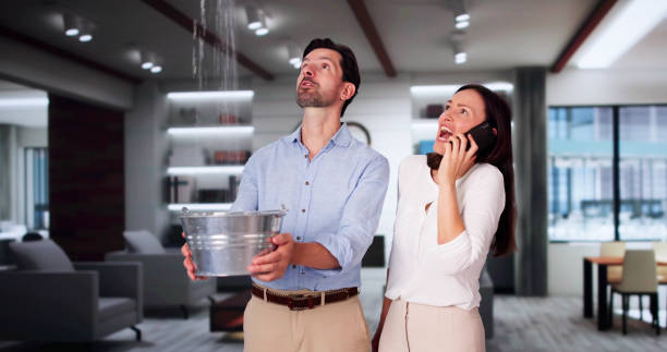 Best Carpet water damage restoration  in Ashland, AL